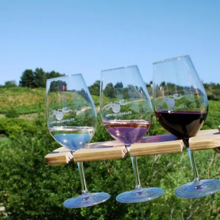 Apartment Lovely Beachfront With Aircon/wifi