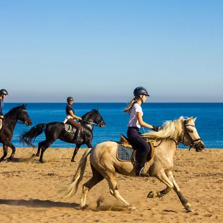 Lovely Beachfront With Aircon/wifi Apartament